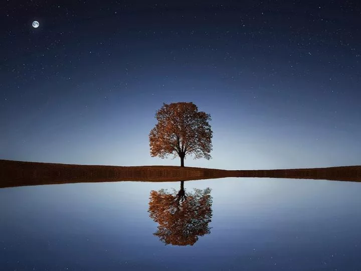 Биткоин демонстрирует меньшую волатильность, чем фондовый рынок Южной Кореи