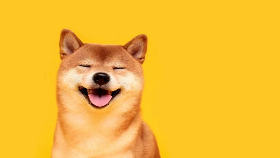 Dogecoin вырос на 10% на фоне рекордного открытого интереса по фьючерсам