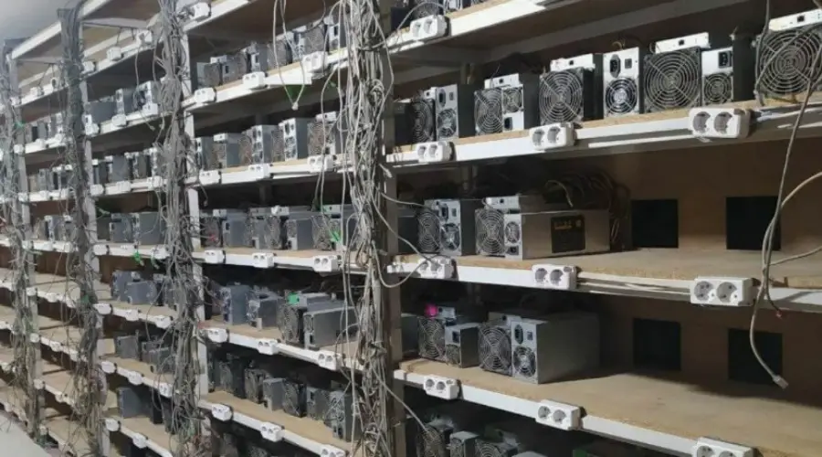 Незаконная майнинг-ферма обнаружена на сельхозпредприятии в Красноярском крае