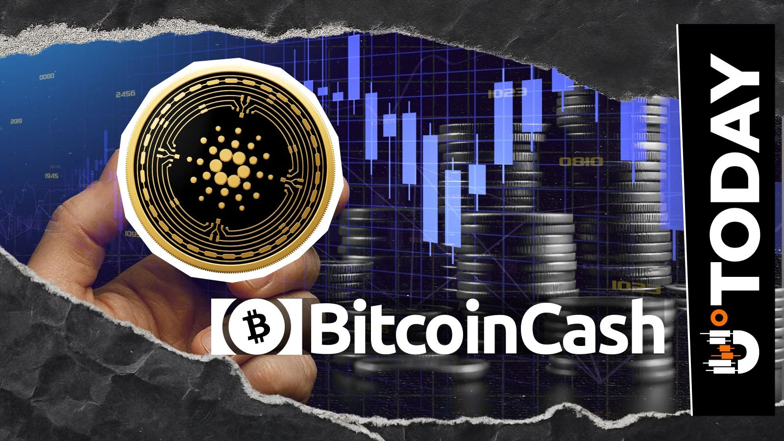 Cardano обогнал Bitcoin Cash по ключевым показателям роста