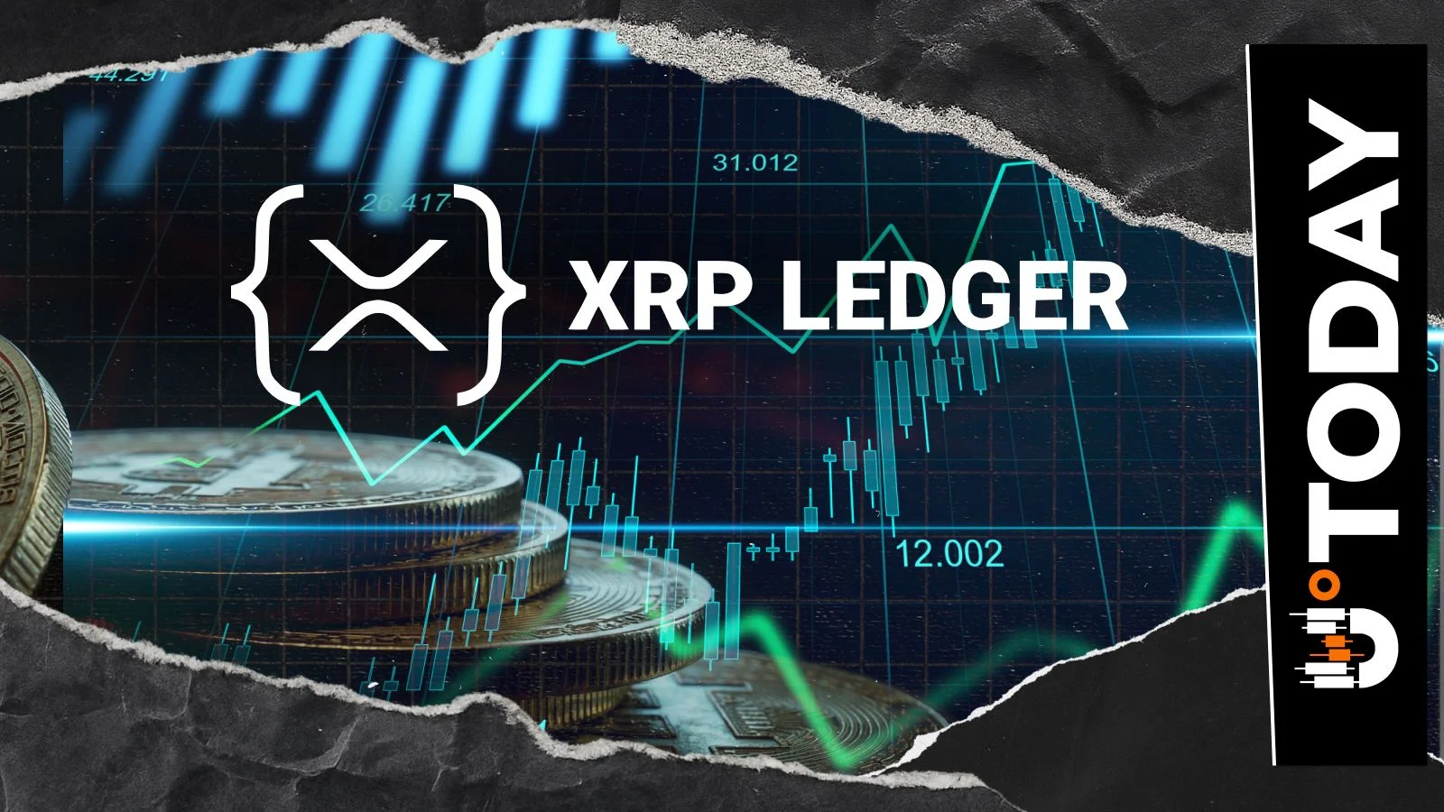 Число разработчиков в экосистеме XRP Ledger выросло на 10%